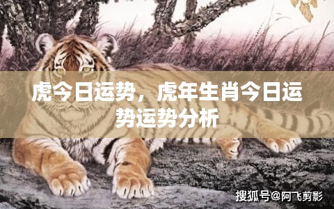 尖嘴猴腮 第4页