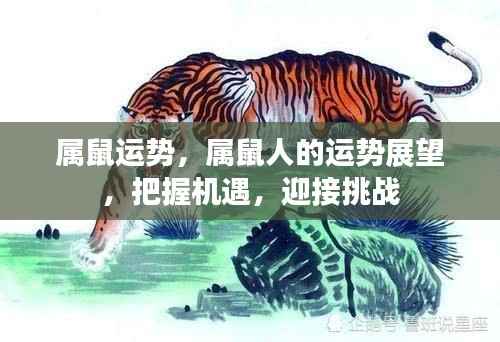 鬼张鬼智 第5页