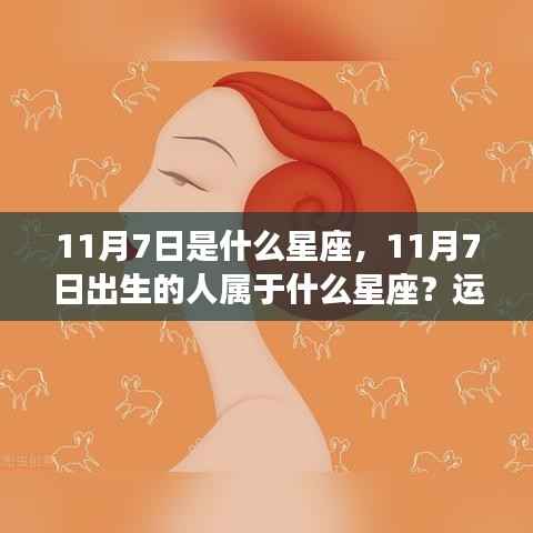 塔罗 第165页