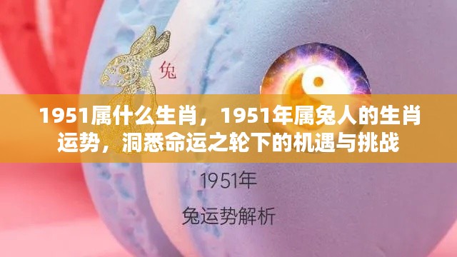 1951年属兔人的生肖运势揭秘,命运之轮下的机遇与挑战探索