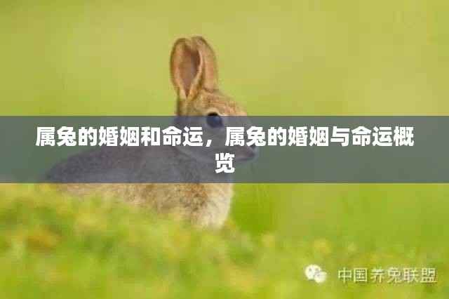 炙手可热 第5页