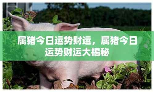 肝胆相照 第6页