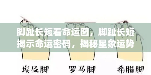 学而不厌 第5页