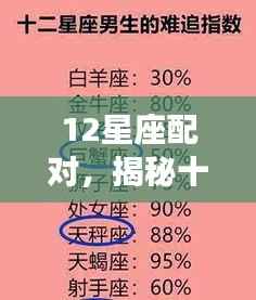 揭秘十二星座配对奥秘，寻找星座灵魂伴侣的完美组合