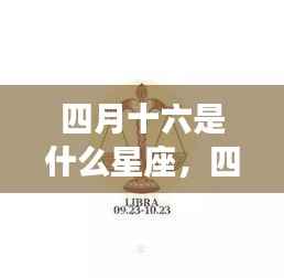 仙姿佚貌 第5页