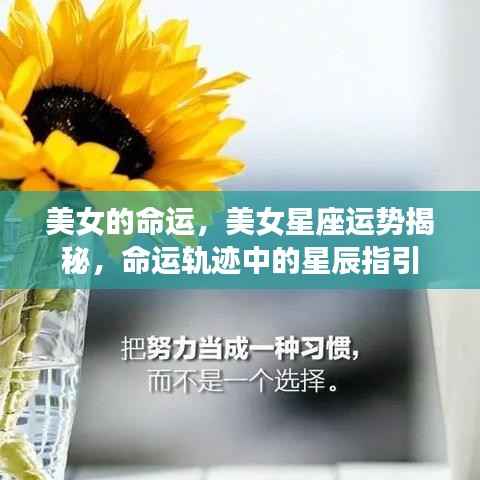 五光十色 第5页