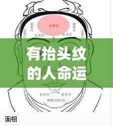 鸟惊鱼骇 第4页