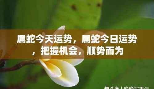 属蛇今日运势大揭秘，把握机会，顺势而为！