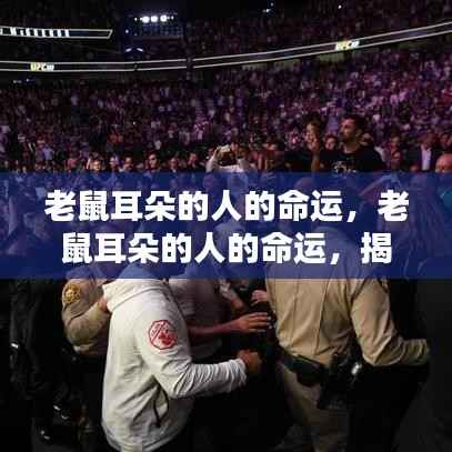 揭秘老鼠耳朵面相之人的命运走向与未来奥秘