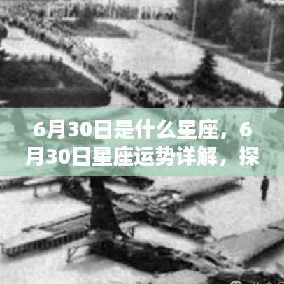 半截鸟木 第4页