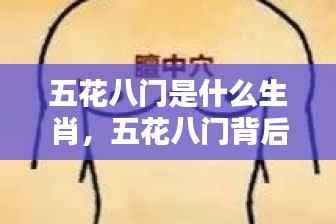 张惶失措 第5页