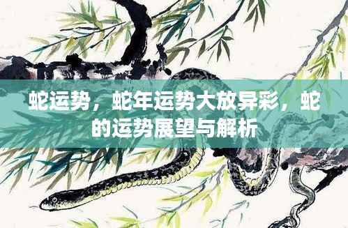 蛇年运势展望,蛇的运势大放异彩与解析