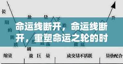 富贵荣华 第5页