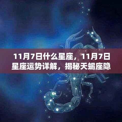 揭秘天蝎座，11月7日星座运势与神秘魅力深度解析