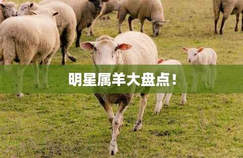 明星属羊大盘点！