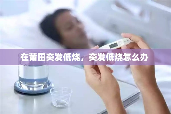 仪表堂堂 第4页