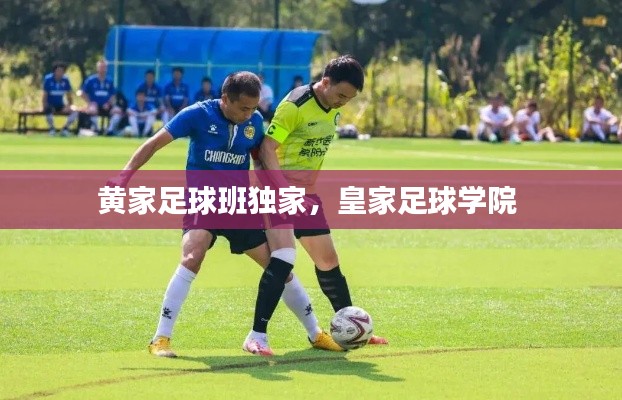 鸟栖虫居 第4页