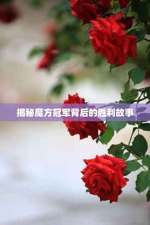 飞龙在天 第4页