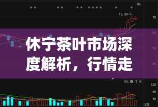 休宁茶叶市场深度解析,行情走势大揭秘!