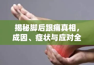 风驰电掣 第3页