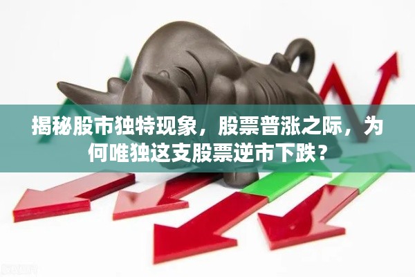 大雪纷飞 第3页