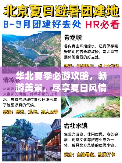 塔罗 第47页