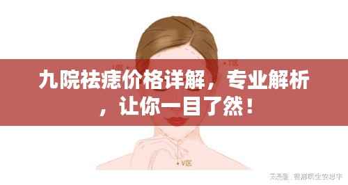 九院祛痣价格详解，专业解析，让你一目了然！